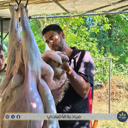 مبادرة الأضاحي - مؤسسة العزم للريادة والتنمية - حمص (